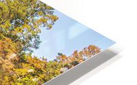 2022 Oct 20 MillPond01 HD Metal print