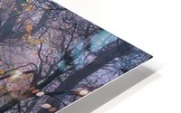 Walking the old path. HD Metal print