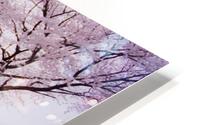 Rain of spring HD Metal print