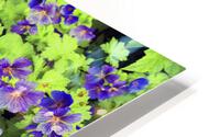 Purple flowers in greenery HD Metal print