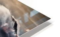 Untitled Impression metal HD