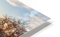 Winter Landscape HD Metal print