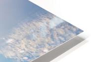 Winter View HD Metal print