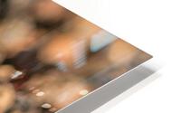 Pepper HD Metal print