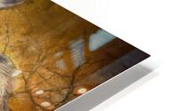 Breath_Taking HD Metal print