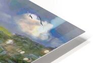 CHANNEL ISLANDS NATIONAL PARK  HD Metal print