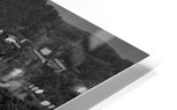 BW Eagles Flying Along the Coast HD Metal print