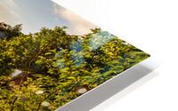Sunset Mountain View HD Metal print