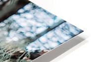 Lechen Love HD Metal print