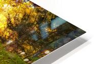 02 Cotton Hollow Autumn Glow HD Metal print