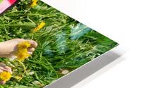 Picnic HD Metal print
