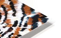 Bengal Beauty HD Metal print