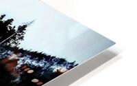 Fairytale Forest HD Metal print