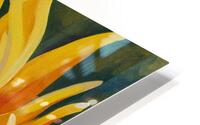 Sunday Sunflower HD Metal print