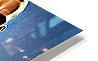 President44 Obama HD Metal print