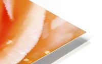 Orange Rose HD Metal print
