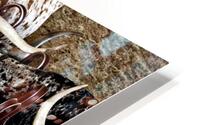 Longhorns HD Metal print