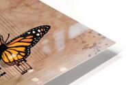 Butterfly Slip Jig HD Metal print
