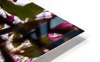 Criss-cross crabApple Sauce HD Metal print