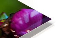 Drop of Green Swath of Pink HD Metal print