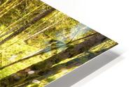 Water Flowing By Moss Covered Rocks In A Stream HD Metal print