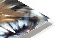 Gorgeous Wolf HD Metal print