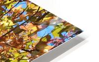 AUTUMN TREE HD Metal print