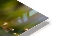 Balisier comestible HD Metal print