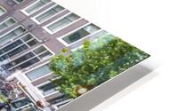 Exploring the Amsterdam Canals HD Metal print