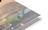 IMG 4547 HD Metal print