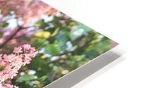 Pink Profusion of Lilacs HD Metal print