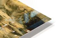 Goldflow HD Metal print