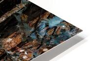 Pathway Series-7 The Haunted Forest HD Metal print