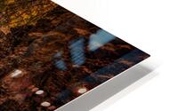 Watkins Glen: Rainbow Falls HD Metal print