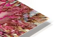 Flamingo Frolic HD Metal print