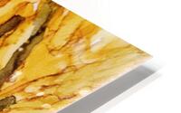 Goldenrod Giggles HD Metal print