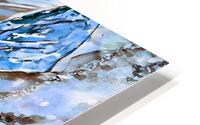 Clarence in Blue HD Metal print