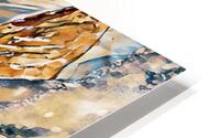 Clarence in Orange HD Metal print