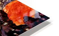 Autumn Birch HD Metal print