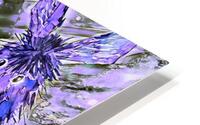 1 Clarence x 4 HD Metal print