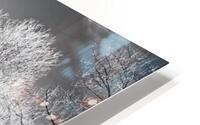 Dyke Road Park In Infrared 1 HD Metal print