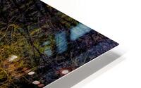 Martin Lake Sunset Branch Reflections HD Metal print