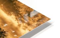 Martin Lake Louisiana the Value of Gold HD Metal print