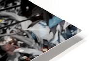 Orchids 3 HD Metal print