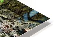 Watkins Glen State Park HD Metal print