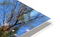 Gallitzin State Forest HD Metal print