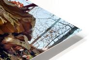 Iron Oxide Melt HD Metal print