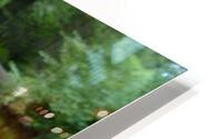Carnahan Run HD Metal print