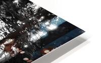 Morning Sunlight HD Metal print