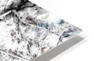 Botanical Shapes HD Metal print
